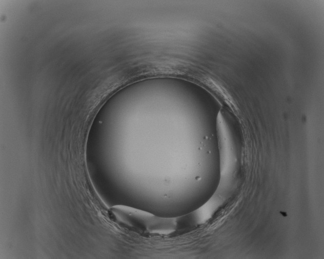 X0000066940481200603311421