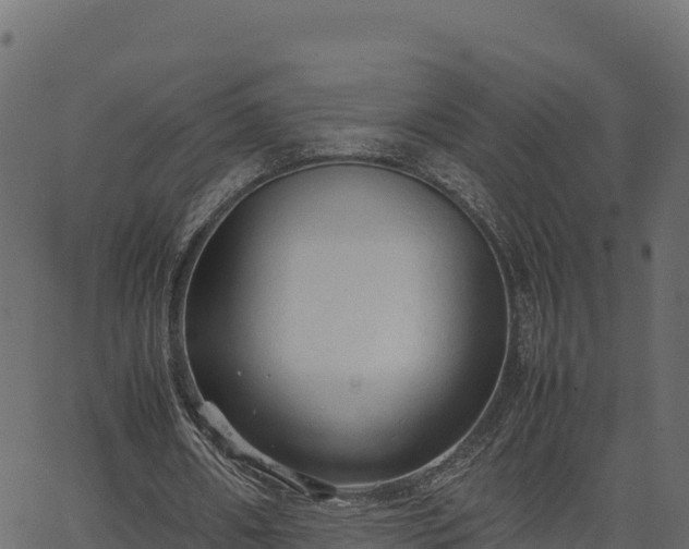 X0000066940482200603311421