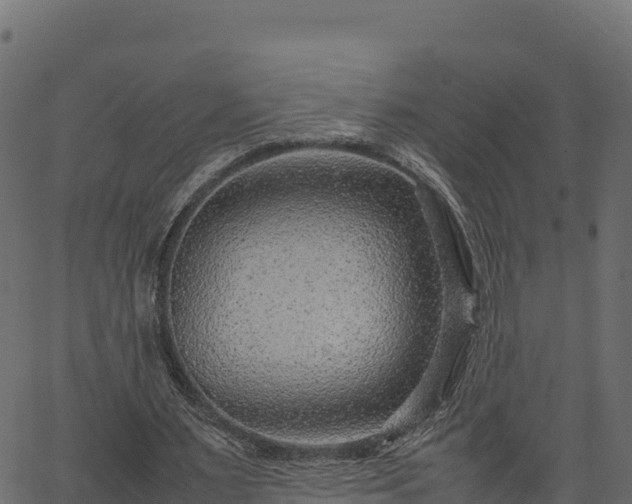 X0000066940483200603311421