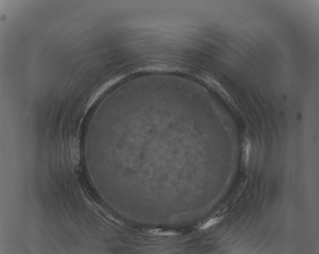 X0000066940484200603311421