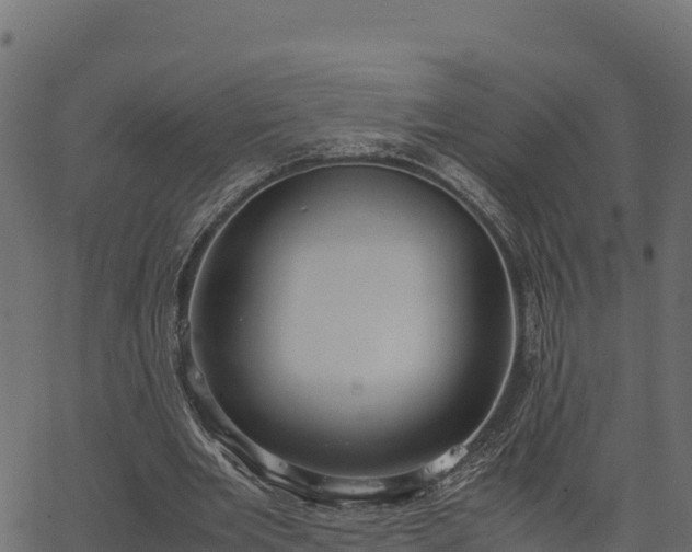 X0000066940485200603311421