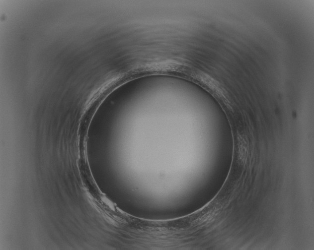 X0000066940486200603311421