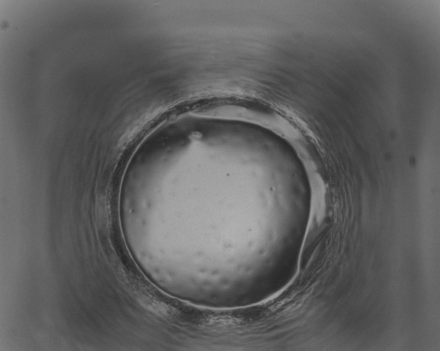 X0000066940487200603311421