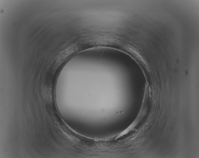 X0000066940489200603311421