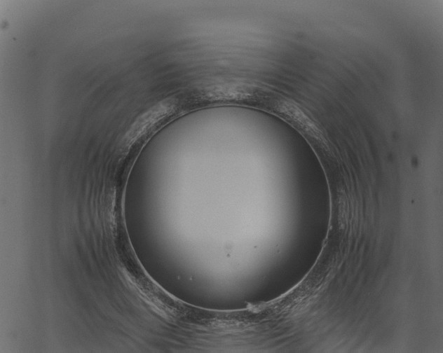 X0000066940490200603311421