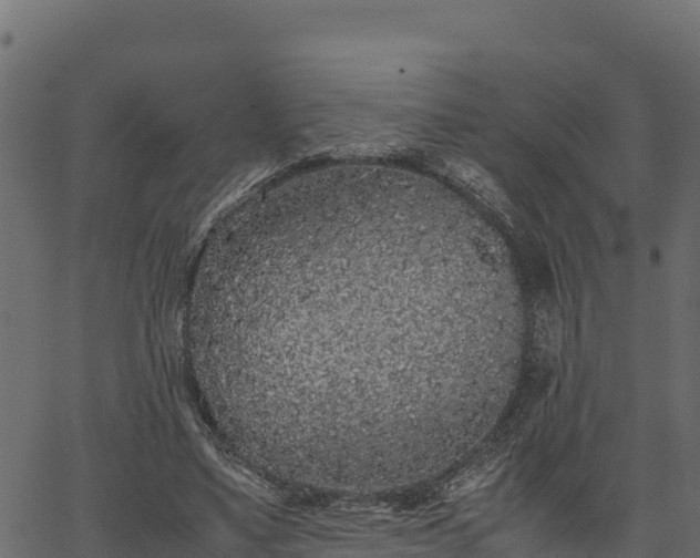 X0000066940491200603311421