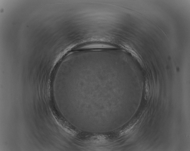 X0000066940492200603311421