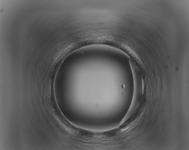 X0000066940493200603311421