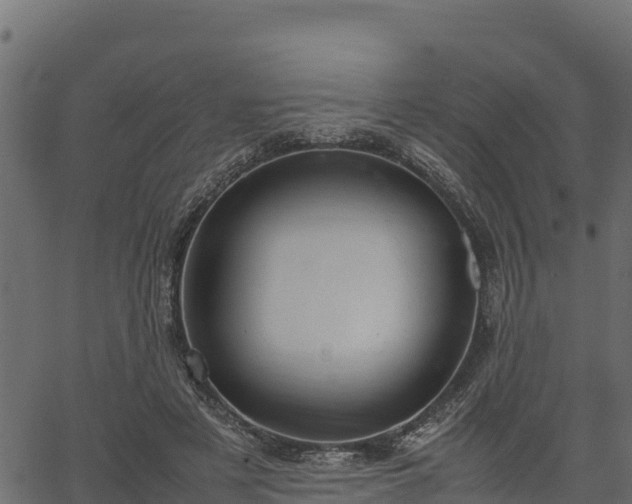 X0000066940497200603311421