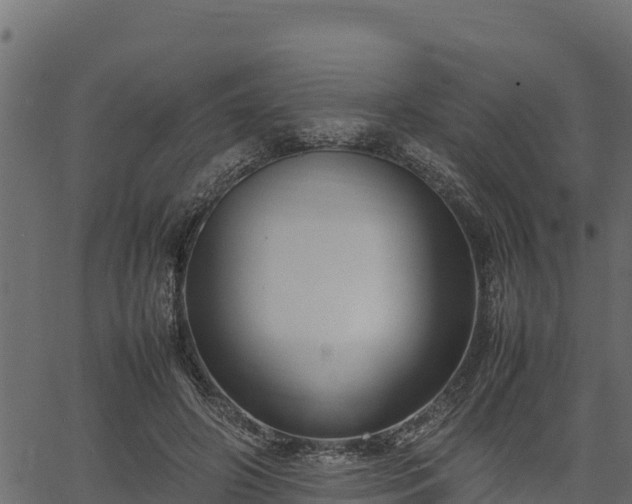 X0000066940498200603311421