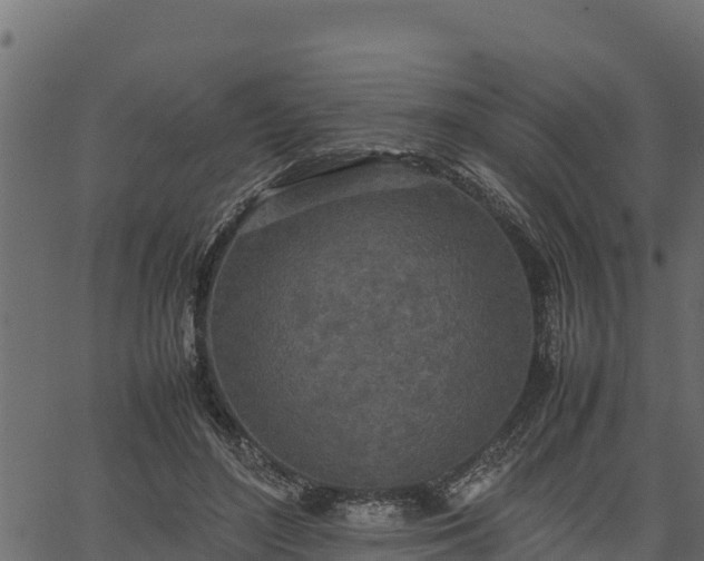 X0000066940500200603311421