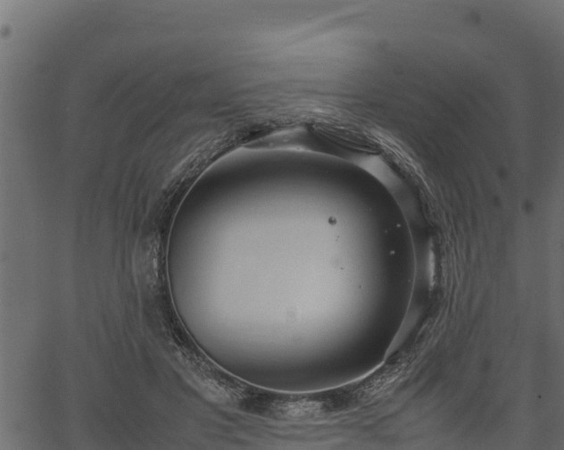 X0000066940501200603311420