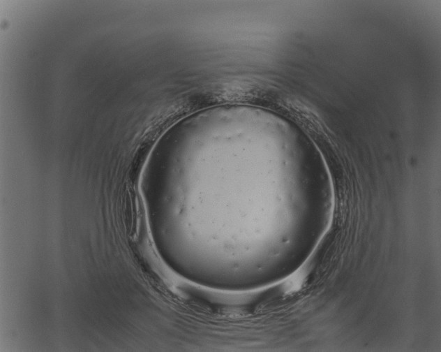 X0000066940503200603311420