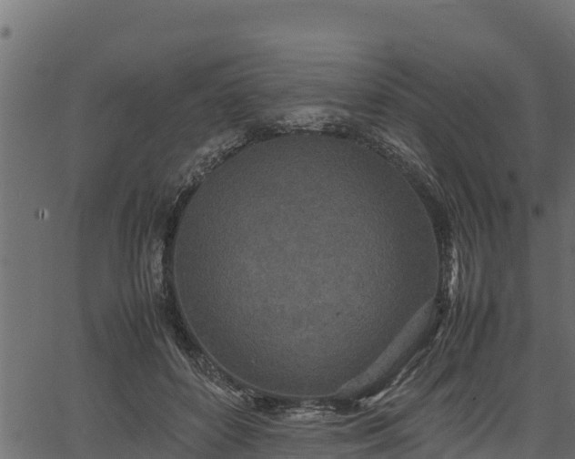 X0000066940504200603311420