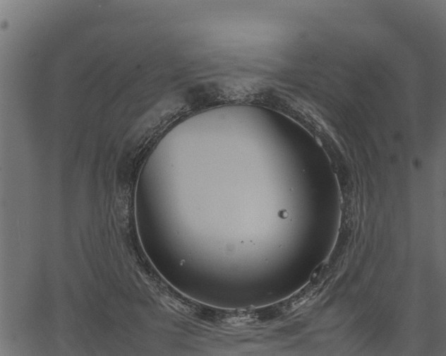 X0000066940505200603311420