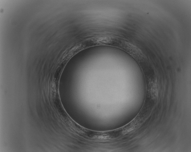 X0000066940506200603311420