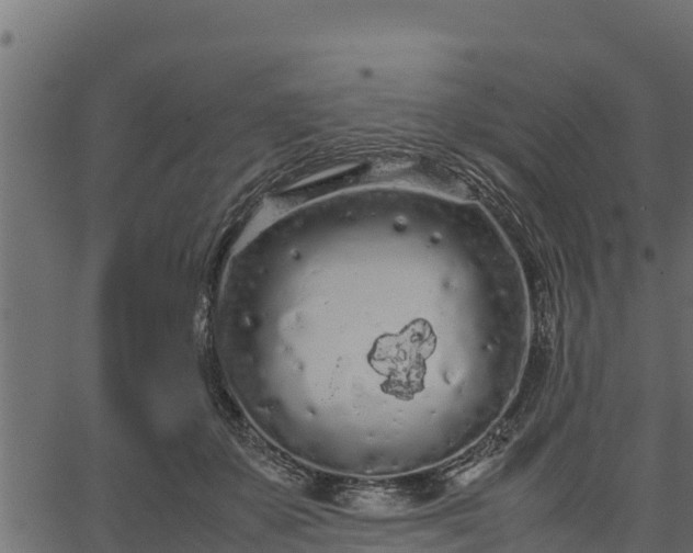 X0000066940507200603311420