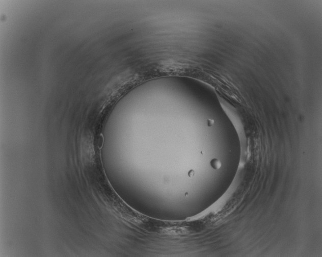 X0000066940508200603311420