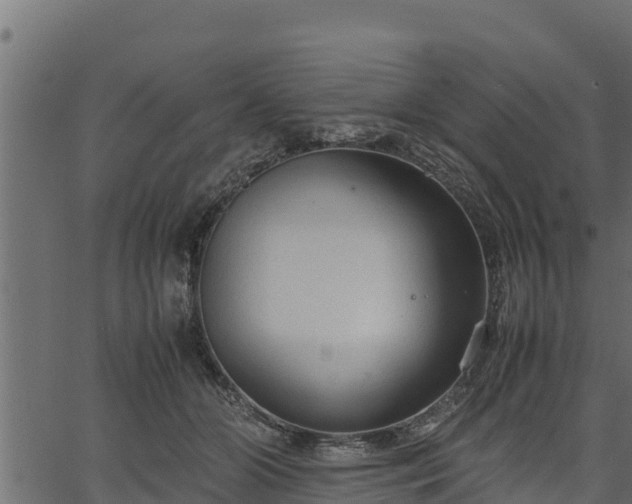 X0000066940510200603311420