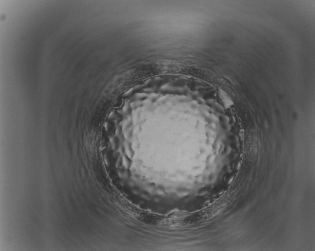 X0000066940511200603311420