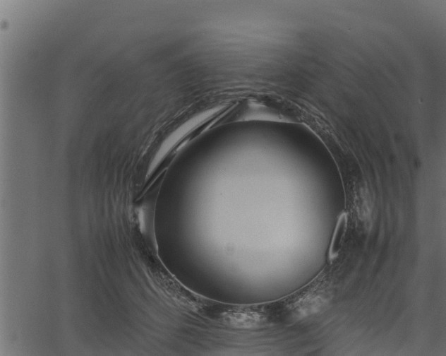 X0000066940512200603311420