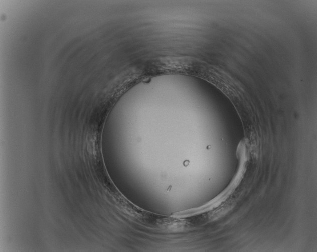 X0000066940514200603311420