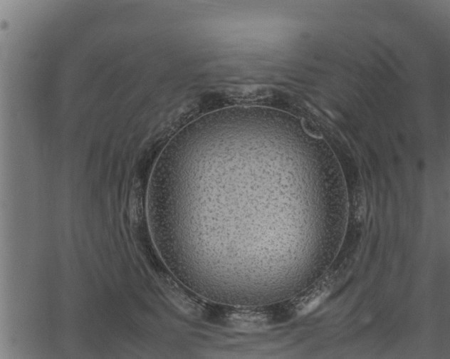 X0000066940515200603311420