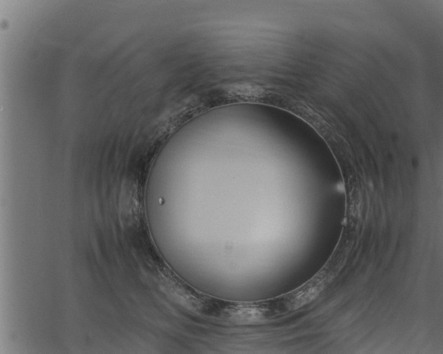 X0000066940518200603311420