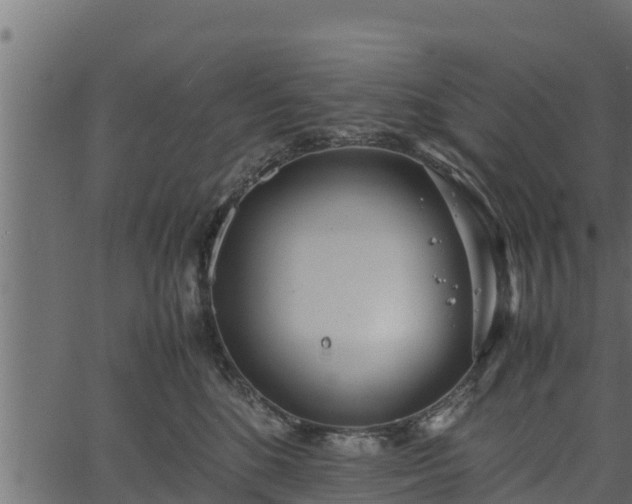 X0000066940520200603311420