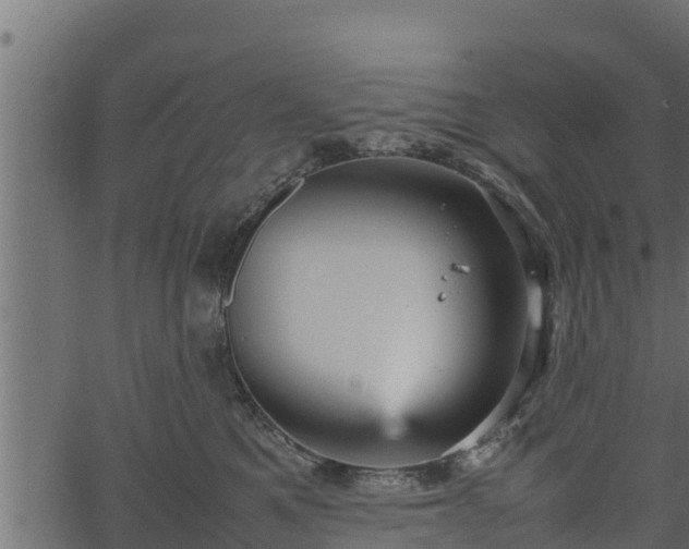 X0000066940521200603311420