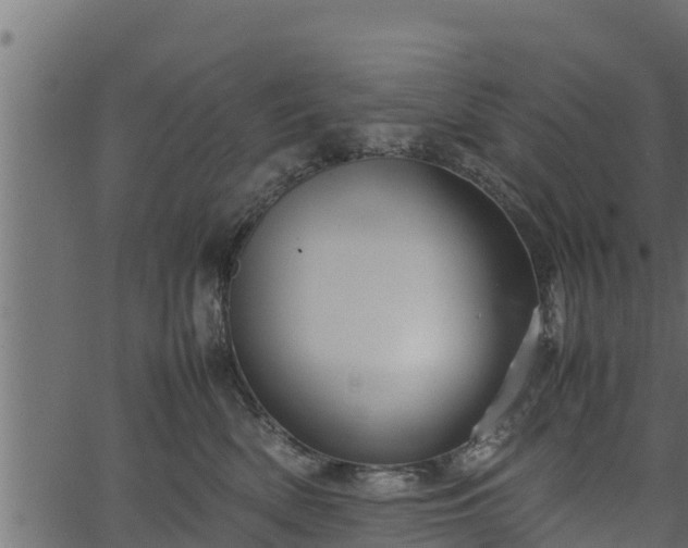 X0000066940522200603311420