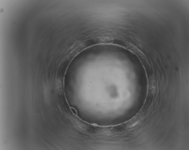 X0000066940523200603311420