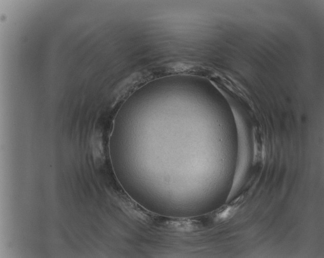 X0000066940524200603311420