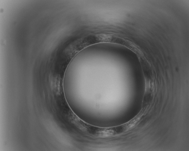 X0000066940525200603311420