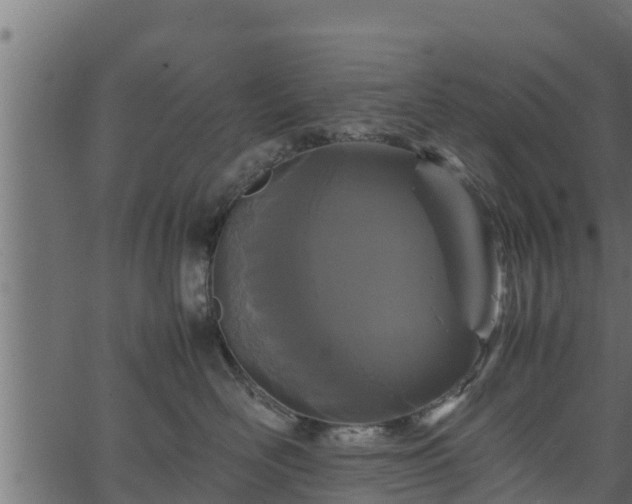 X0000066940526200603311420