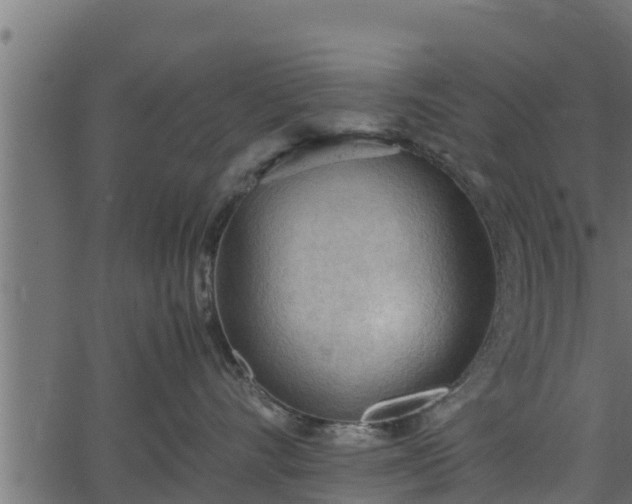 X0000066940528200603311420