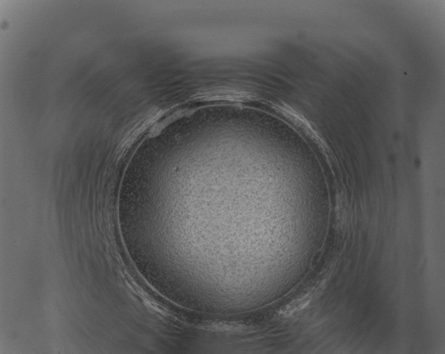 X0000066940529200603311419