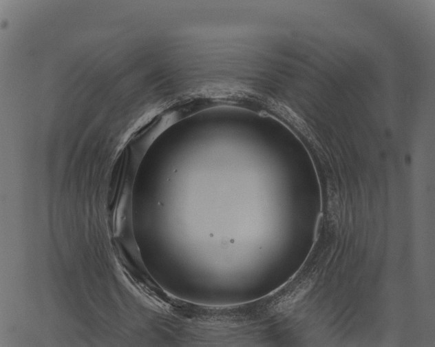 X0000066940530200603311419