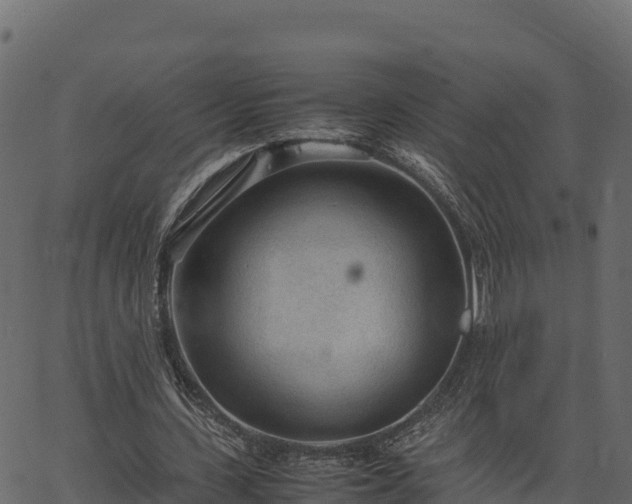 X0000066940531200603311419