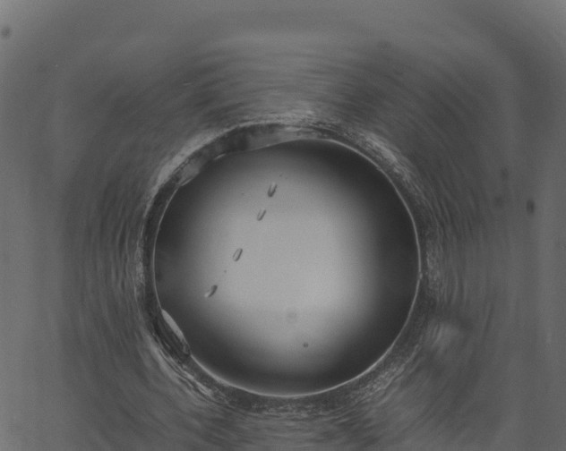 X0000066940532200603311419