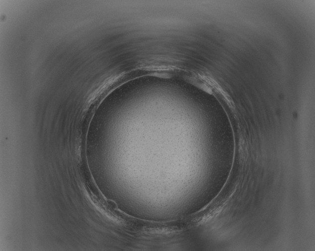 X0000066940533200603311419