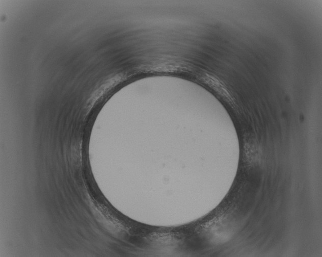 X0000066940534200603311419