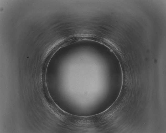 X0000066940535200603311419