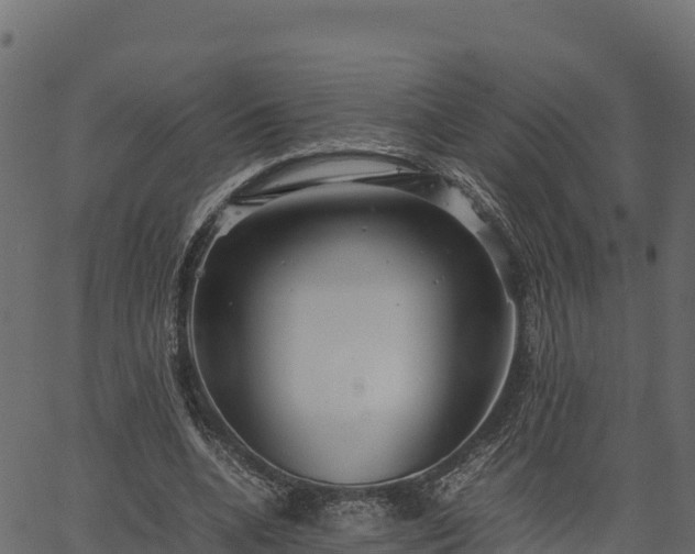 X0000066940536200603311419