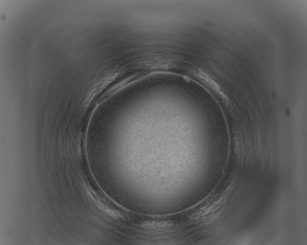 X0000066940537200603311419