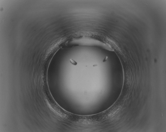 X0000066940538200603311419