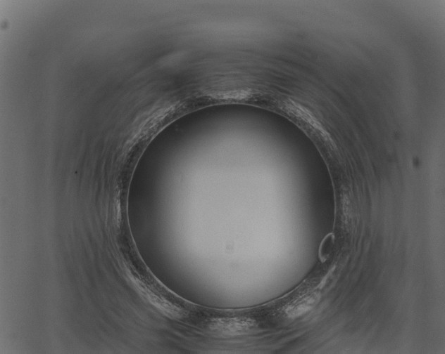 X0000066940541200603311419