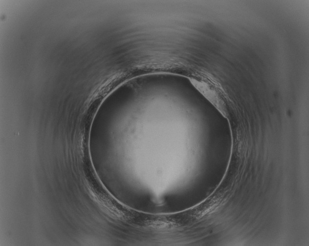 X0000066940542200603311419