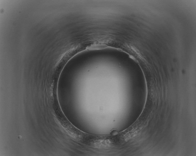 X0000066940543200603311419