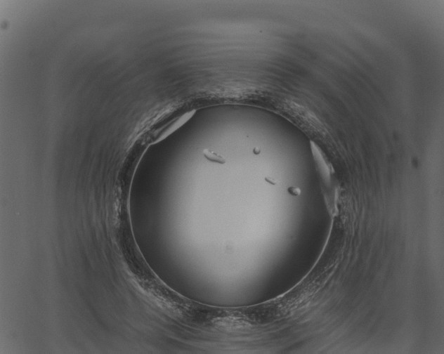 X0000066940544200603311420